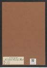 Auliscus hauckii Pant. (de-Toni-Nr.: Genus 171, Species 4349) Zeichnungen Sammlung Grunow Mappe 04308 (Herbarium_W_Grunow_drawings_Folder_04308)